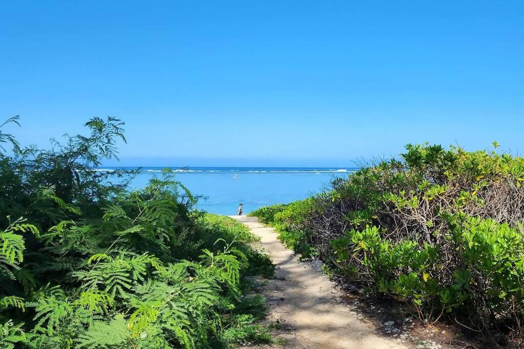 Exceptionnel ! Le Kazuarina, Tres Bel Apt F3 A 50M De La Plage De La Saline Le Bains Εξωτερικό φωτογραφία