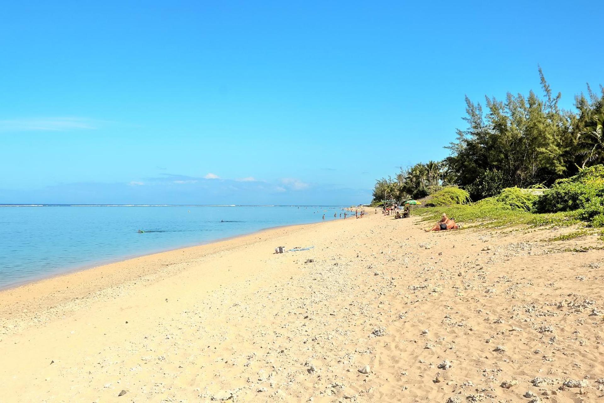 Exceptionnel ! Le Kazuarina, Tres Bel Apt F3 A 50M De La Plage De La Saline Le Bains Εξωτερικό φωτογραφία